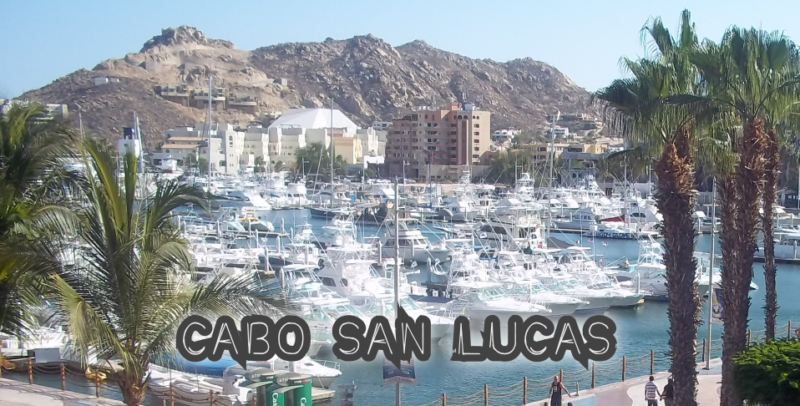 cabo marina